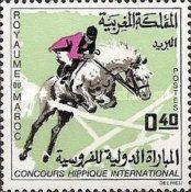 Show Jumper