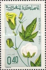 Branch of a Cotton Plant