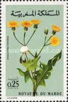 Sonchus pinatifidus