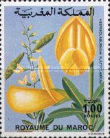 Hesperolaburnum platyclarpum