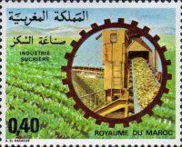 Sugar Beet Field and Crushing Plant