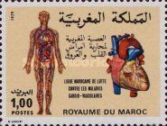 Anatomical Diagram of the Human Body and Heart