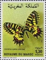 Spanish Festoon (Zerynthia rumina)