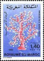 Red Coral (Corallium rubrum)