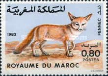 Fennek (Fennecus zerda)