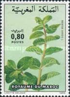 Spearmint (Mentha virides)