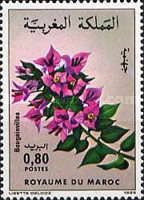 Bougainvillea