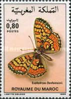 Spanish Fritillary (Euphydryas desfontainii)