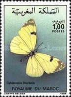 Green Black-Tip (Elphinstonia charlonia)