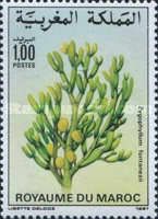 Zygophyllum fontanesii