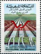 Irrigated Fields and Drainage System
