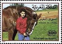 Boy with Horse