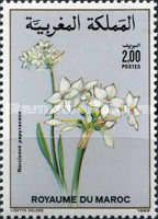 Narcissus Papyraccus