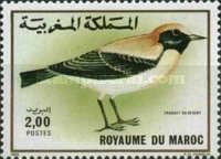 Desert Wheatear (Oenanthe deserti)