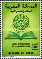 International Literacy Year