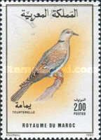European Turtle Dove (Streptopelia turtur)