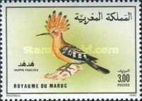 Eurasian Hoopoe (Upupa epops)
