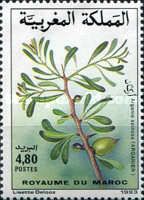 Argania spinosa