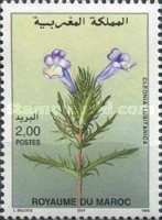 Cleonia Portuguese