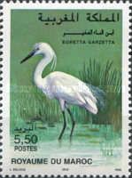 Little Egret (Egretta garzetta)
