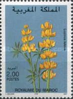 Lupinus luteus