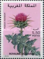Silybum marianum