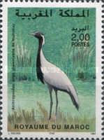 Demoiselle Crane (Anthropoides virgo)