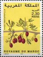 Rhus pentaphylla