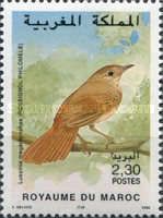 Common Nightingale (Luscinia megarhynchos)