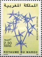 Eryngium triquetrum