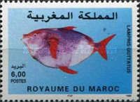 North Atlantic Opah (Lampris guttatus)