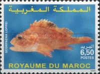 Cadenat's Rockfish (Scorpaena loppei)
