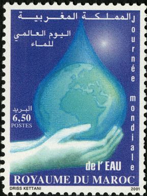 Year of the water