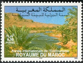 International Year of Eco-tourism