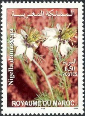 Moroccan flora - Nigella damascena