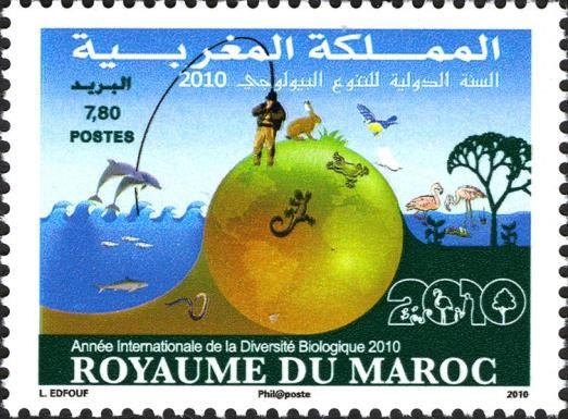 International Year Of Biodiversity