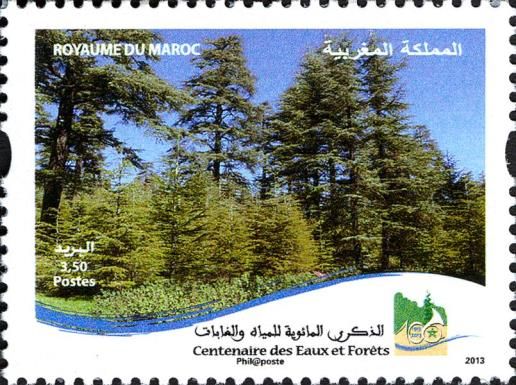 Centennial Water and Forests