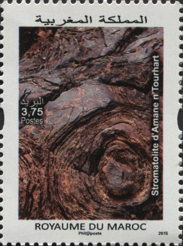 Stromatolite of Amane n' Tourhart