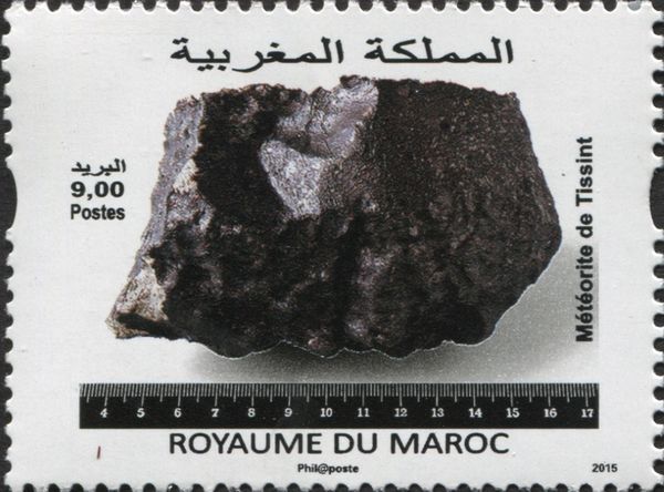Meteorite of Tissint