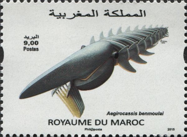 Fossil Aegirocassis benmoulai