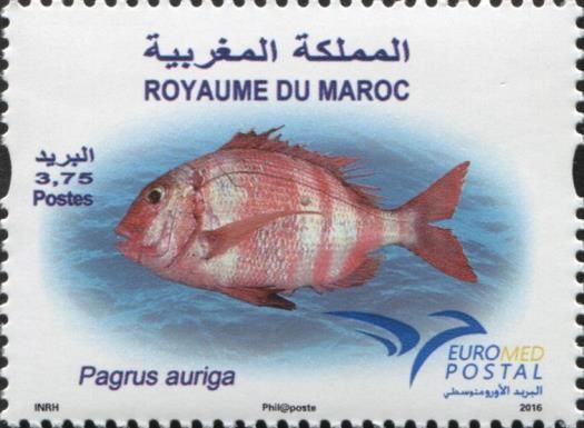 EuroMed Joint Issue - Redbanded Seabream (Pagrus auriga)