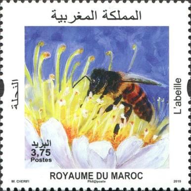 Bee Pollinating Lemon Flower