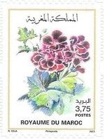 Flowers of Morocco (2021 Imprint Date)
