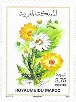 Flowers of Morocco (2021 Imprint Date)