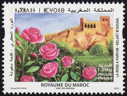 Roses and View of Qal'at Maguna