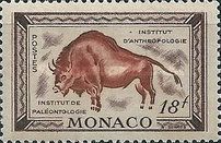 Standing Bison by a Polychrome Cave Painting in Altamira