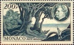 Tropical Landscape on Ogowe River with Rosy Pelican