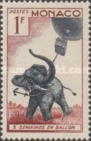 African Elephant (Loxodonta africana) with Anchor Rope 