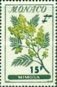 Mimosa pudica