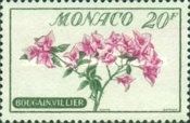 Bougainvillea glabra